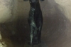 Sacred Apis Bull, at Pompey's column, Alexandria EG
