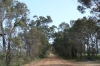 Ambergate Reserve WA AU