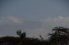 Mount Kilimanjaro (barely visible), Ambesoli, Kenya