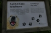 Doggy steps, Auttiköngäs National Park FI