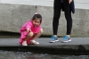 Looking for fish in the Cheonggyecheon Stream, Seoul KR