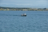 Lake Taupo and the little ferry that could... NZ
