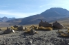 Geysers del Tatio, Atacama Desert CL
