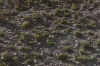 Can you spot the Viscachas (rabbit like rodent) amongst the rocks (Hint - bottom right). Atacama Desert CL