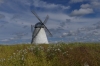 Dutch Windmill (1860) at Vihula Manor EE
