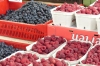 Berries for sale, Central Market, Rīga LV