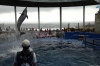 Continuous shooting mode during the dolphin act at Umitamgo (aquarium), Oita, Japan.