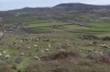 Sheep near the ancient Greek city of Apollonia AL