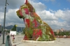 Guggenheim Flower Puppy, Bilbao ES