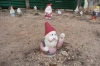 The home of lost garden gnomes - Caiguna Roadhouse WA