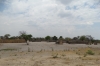 Villages on the Caprivi Strip between the rivers Kavangp and Kwando, Namibia