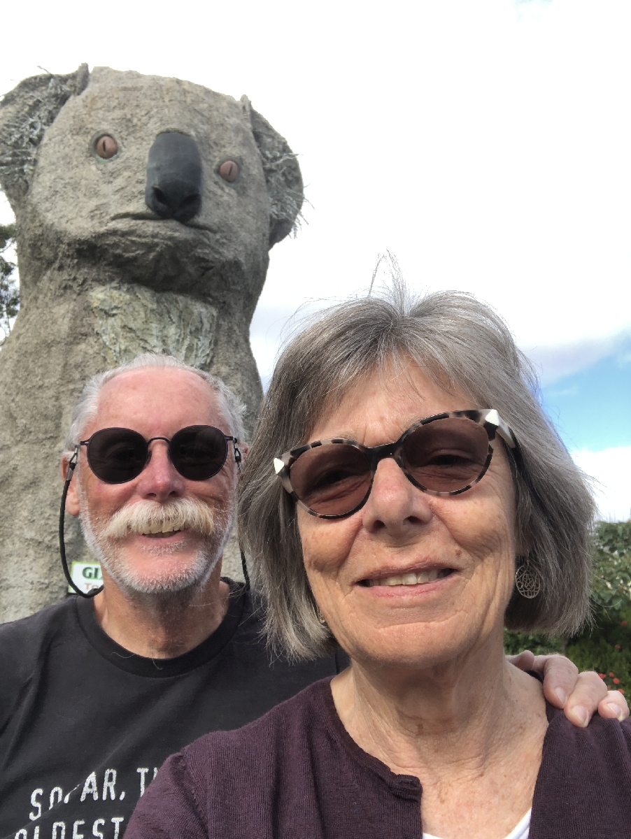 The Giant Koala, Dadswell's Bridge VIC