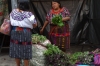 Fresh herbs. Not market day in Chichicastenango - a smaller market still exists GT