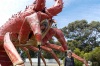 Giant Lobster, Kingston SE, SA