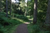 Lael Forest Garden Walk, near Ullapool GB-SCO