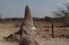 Termite mound on the gate post of Toko Lodge, Namibia