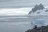 Penguins on Danco Island in the Errera Channel, Antarctica