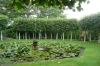 Gardens of Athelhampton House, Dorset GB