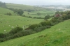 Countryside in Dorset GB