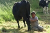 Tending to cows on the Sun Valley Walk, Ingapirca EC