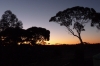 Sunset at Balladonia Roadhouse WA AU, Nullarbor Plain