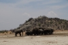 Elephants at the Dolomietpunt waterhole, Etosha, Namibia