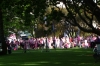 Pink day in Auckland (Cervical Cancer?) in the Auckland Domain NZ