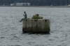 Sculpture 'Daydreamer' in the haarbour, Gdynia PL