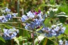 Around Monet's garden, Giverny Around Monet's garden, Giverny