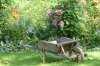 Around Monet's garden, Giverny FR