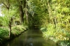 The creek alongside the lily pond in Monet's garden, Giverny FR