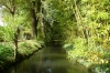 The creek alongside the lily pond in Monet's garden, Giverny The creek alongside the lily pond in Monet's garden, Giverny