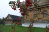 Wooden houses in the resort where we stayed. Suzdal RU