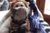 Lucky Pepe and Paco have scarves for Christmas, handmade by Thea