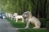 The Sacred Walk at the Ming Tombs CN