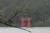 Hakone-jinja shrine on Lake Ashi, Japan