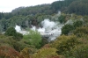 Te Puia indigenous park and thermal springs, Rotorua NZ