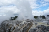 Te Puia indigenous park and thermal springs, Rotorua NZ
