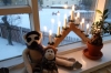 Pepe & Paco and Icelandic Christmas Lights