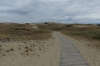 Nagliy Nature Reserve (the Dead Dunes), Curonian Spit LT Nagliy Nature Reserve (the Dead Dunes), Curonian Spit LT