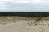 Nagliy Nature Reserve (the Dead Dunes), Curonian Spit LT