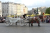 Horse buggy's in Main Market Square, Kraków PL