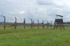 Extermination Camp, Birkenau PL