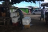 Buying fish for dinner at a roadside stall, Montego Bay JM