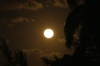 Moonrise at Ladywood House, Russell Villas, Montego Bay JM