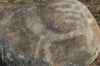 Petroglyphs at Burana Tower KG