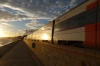 Afternoon winter sun and a train at Badalona ES