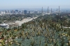 Cactus Garden and Los Angeles from The Getty Center Cactus Garden and Los Angeles from The Getty Center