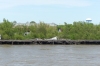 Levy and damage in the Ninth Ward which was hit by Hurricane Katrina, from the Natchez Paddle Steamer, New Orleans LA USA