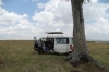 Day 3 lunch stop. We had trouble fnding an empty tree, Masaimara, Kenya